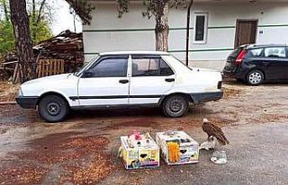 Konya’da 9 avcıya 41 bin 780 lira ceza