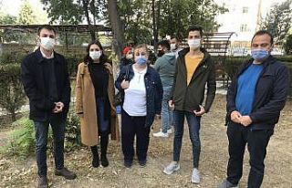 Konya’da kedilerin öldürüldüğü iddiası