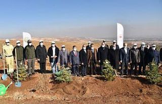 Konya’da Öğretmen Hatıra Ormanı için fidan...