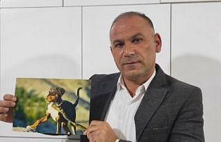 Köpeğini bulana arabasını hediye edecek