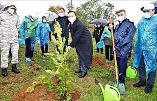 Körfez’de 500 fidan toprakla buluştu