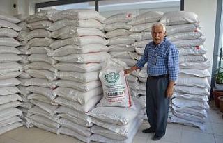 Korkuteli’nde 180 ton sertifikalı tohum satıldı