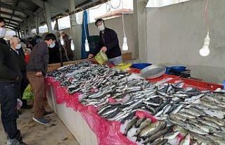 Korona virüs balık satışlarını arttırdı
