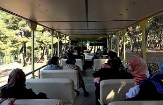 Koronalı günlerin stresini safari ile atıyorlar