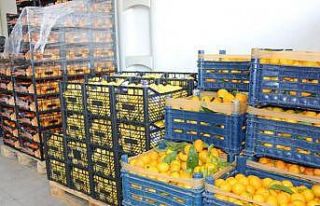 Koronaya karşı vitamin desteği