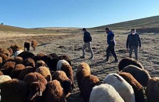 “Köyümde Yaşamak İçin Bir Sürü Nedenim Var”...