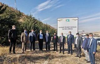 KTB - KAYEMA işbirliğiyle bin fidan dikildi