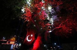 Küçükçekmece Belediyesi’nden “Park" iddialarına...