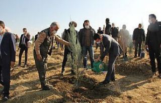 Kulp’ta bin fidan toprakla buluştu