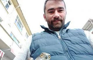 Kumruyu kovalayan atmaca rotasını şaşırıp kahvehanenin...