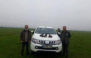 Kurallara uymayan avcılara geçit yok