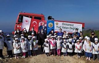 Kuşadası’nda 150 kızılçam fidanı toprakla...