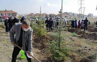 Kütahya il genelinde 241 bin 300 fidan toprakla buluştu