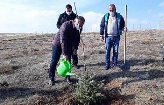 Kütahya’da Adalet Ormanı’na 300 fidan dikildi