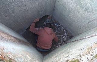 Kuyuda mahsur kalan kediyi çoban kurtardı