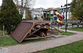 Magandaların zarar verdiği kamelya onarıldı