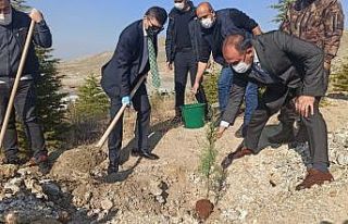 Malatya polisinden bin fidan