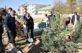 Malazgirt’te fidan dikimi