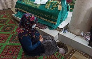 Malik Bin Şebib türbesine ziyaretçi akını