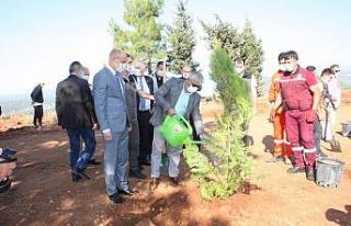 Manavgat’ta Bin ağaç dikildi, bin ağaç dağıtıldı