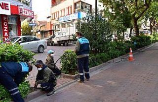 Manisa’nın yeşil alanlarında damla sulama dönemi