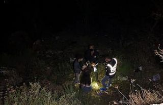 Manzara seyrederken, uçuruma düşen kadın yaralandı