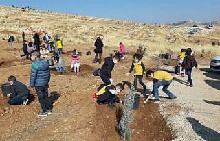 Mardin’de 13 bin fidan toprakla buluştu