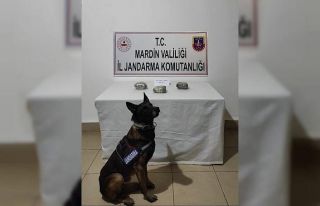 Mardin’de 1 kilo 600 gram uyuşturucu ele geçirildi