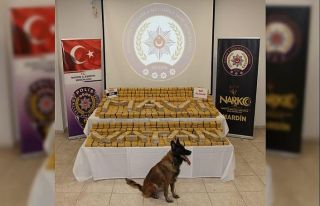 Mardin’de son 4 ayda düzenlenen operasyonlarda...