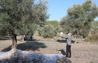 Marmaris Belediyesi tarımsal gelişmeye önem veriyor