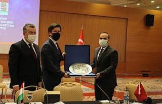 Medikal sanayi ve tıbbi cihazlar üzerine Türk-Macar...