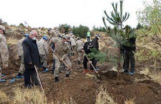 Mehmetçik, şehit ve depremde hayatını kaybedenler...