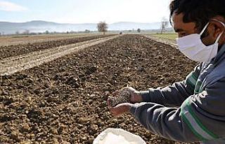 Menteşe Belediyesi hayvan yetiştiricisi için yem...