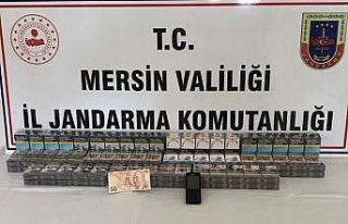 Mersin’de market hırsızı 5 şüpheli jandarma...