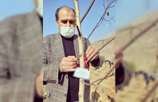 MHP Yahyalı ilçe teşkilatından ağaçlandırmaya...