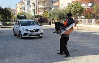 ‘Mıknatıs Adam’ yetenekleriyle sınır tanımıyor