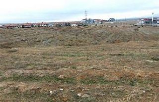 Milli Ağaçlandırma Günü için hazırlıklar tamamlandı