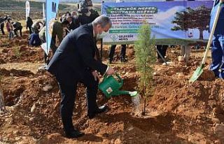 Milli Ağaçlandırma Gününde Fidanlar Toprakla...