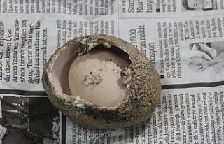 Milyonda bir görülüyor: 4 katmanlı yumurtadan...