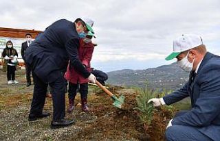 Minik eller fidanları toprakla buluşturdu