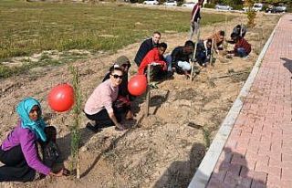 MTÜ’de yabancı öğrencilere indirim