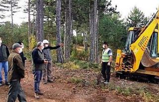 Müdür Keskin: “Doğal gençleştirmenin ana unsuru...