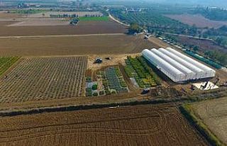 Muğla Büyükşehirden ‘Akıllı Tarım’ çiftliği