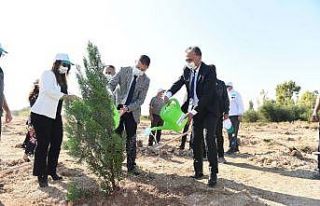 Muratpaşa’da fidanlar toprakla buluştu