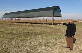 Muş’ta tarım ve hayvancılığa 1 milyon 600 bin...