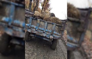 Mutki’de 334 küçükbaş hayvan yanarak telef oldu