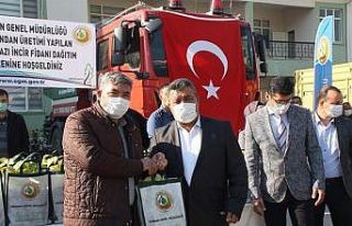 Mut’ta 13 mahalleye 15 bin beyaz incir fidanı dağıtıldı