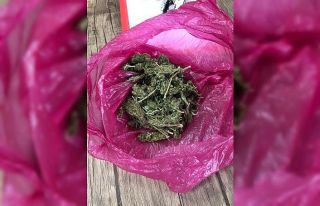Narkotik köpeği tepki verdi, yolcudan uyuşturucu...