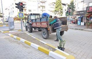 Nazilli Belediyesi eş zamanlı çalışma başlattı