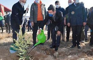 Nevşehir’de binlerce fidan toprakla buluştu